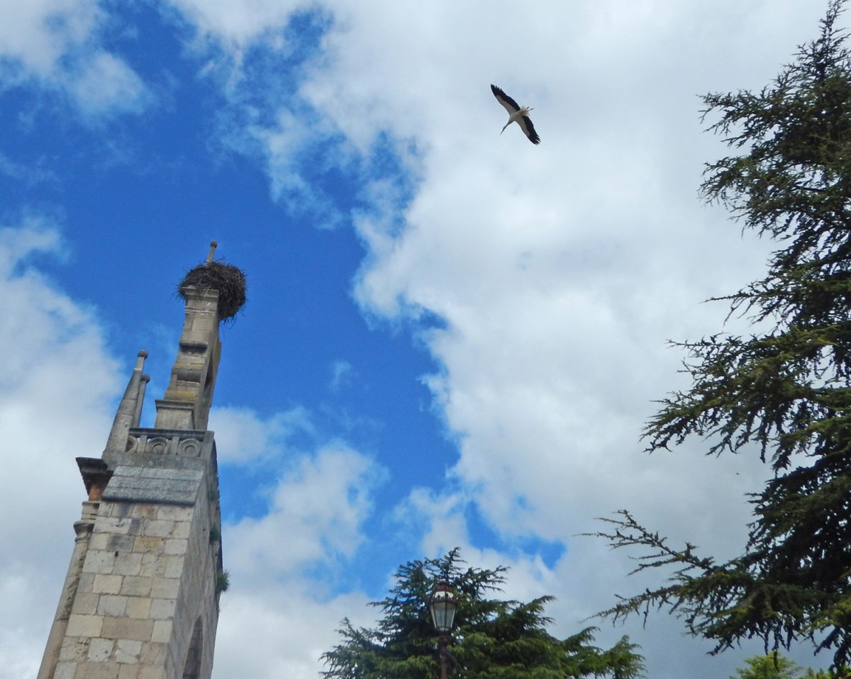 Camino Daze May 2017 – Day&nbsp;1