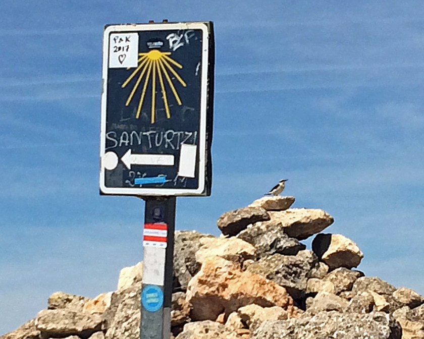 2 A Little Bird Told Me to Go This Way