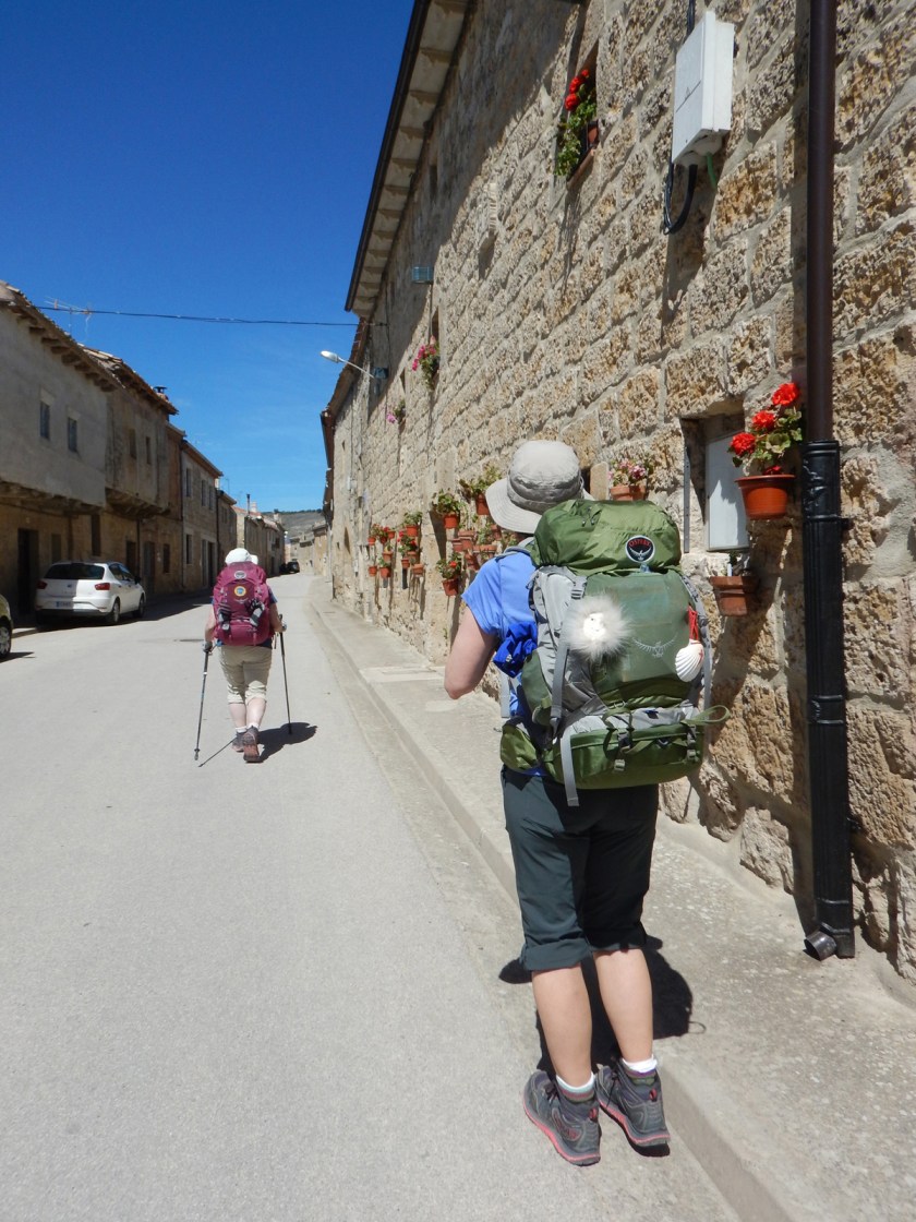 4 Geraniums Brighten Hornillos Streets