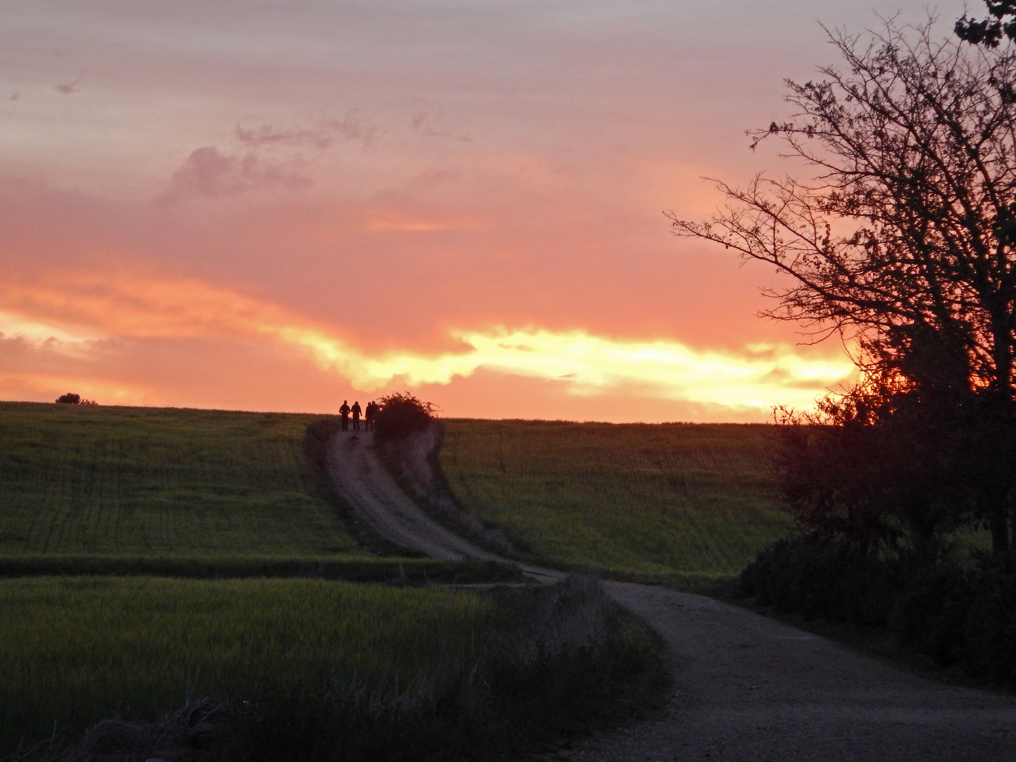 77 Sunrise Pilgrims begin arriving at San Nicolas