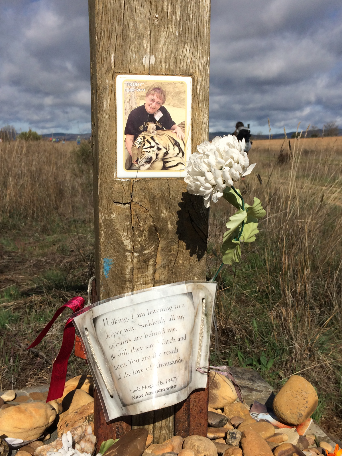 184 Brazuelo_Shrine_with_White-Tiger-2