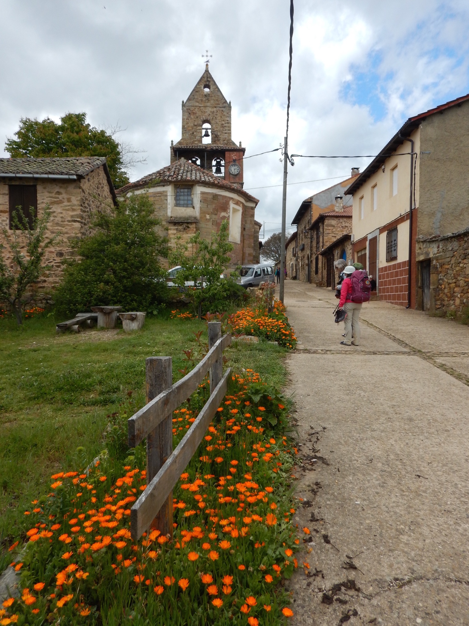 186 Camino Flowers Urge Us Onward