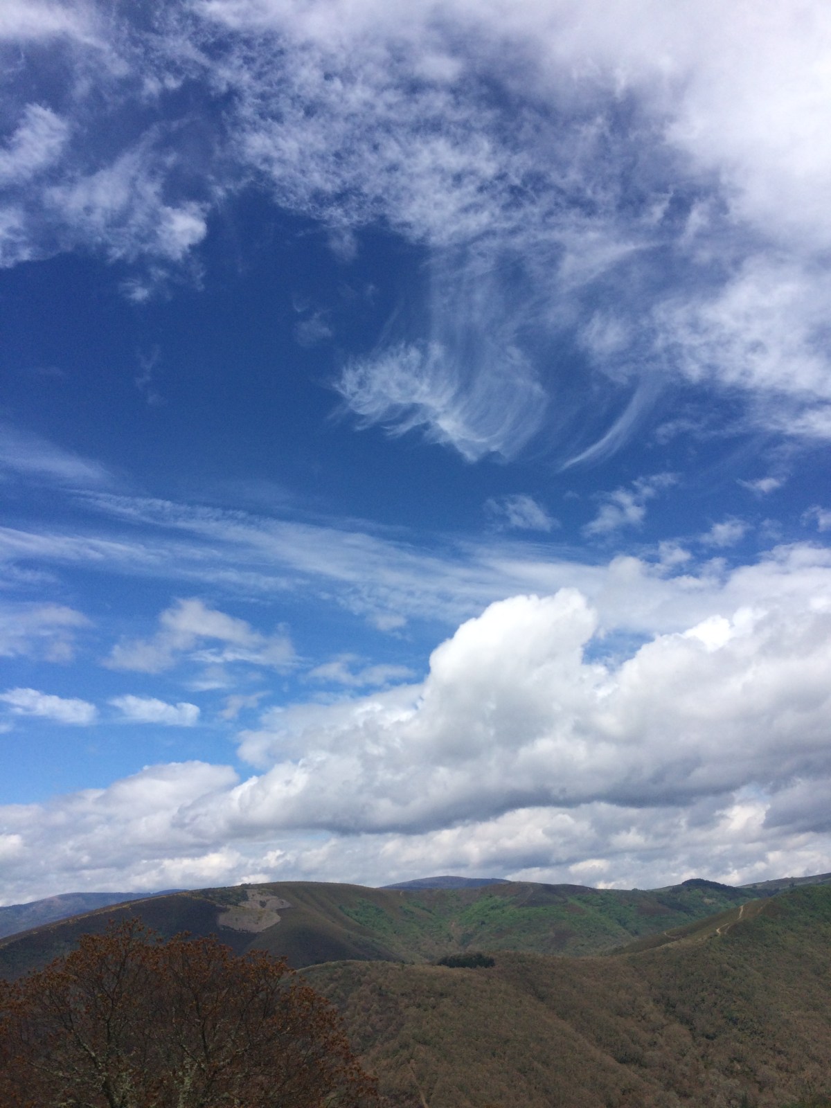 Camino Daze May 2017 – Day&nbsp;12